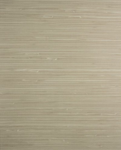 کاغذ دیواری قابل شستشو عرض 50 Design id آلبوم آلفا کد SR210302-F