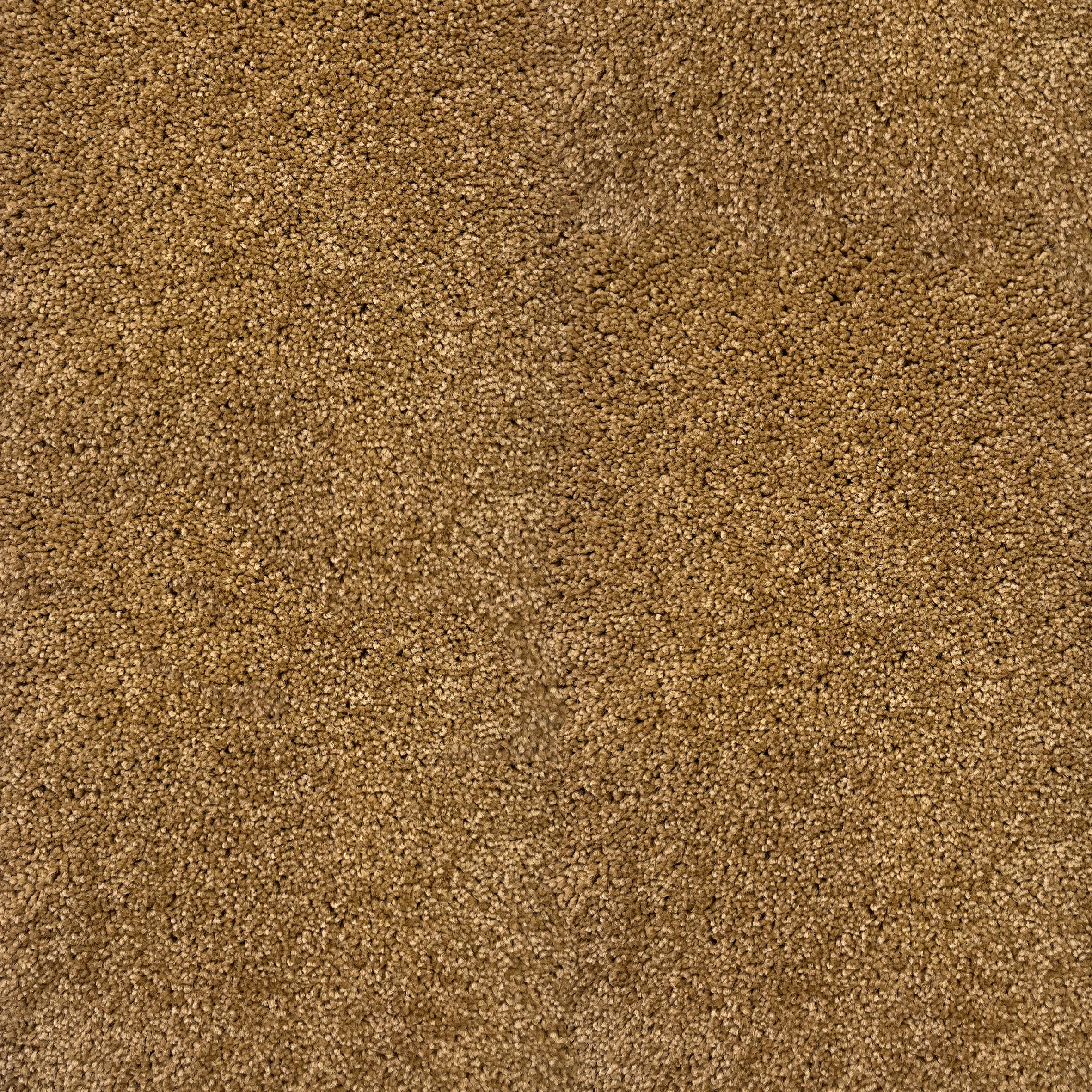 موکت کات پالاز آلبوم کات بی مینیمال کد 5311