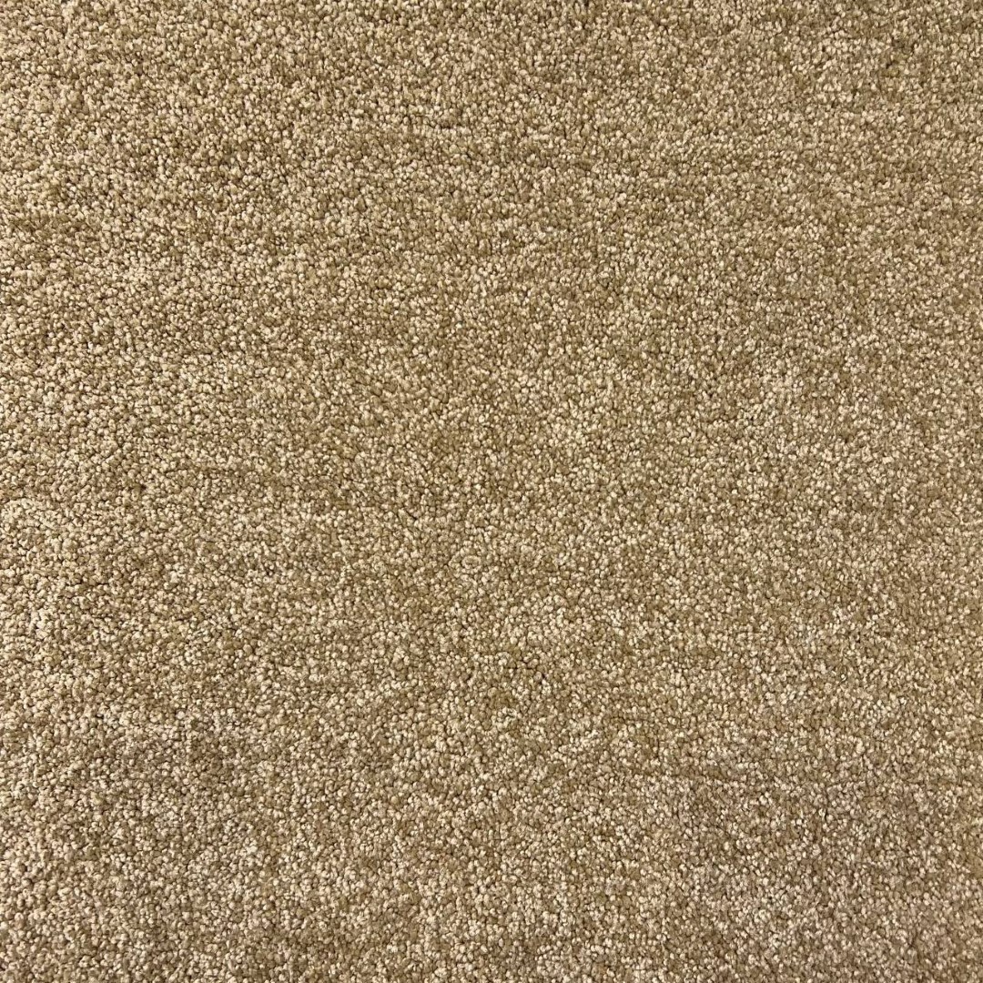 موکت کات پرز بلند پالاز آلبوم یاس کد 5165