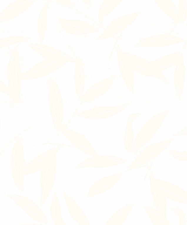 کاغذ دیواری قابل شستشو عرض 50 Deco 4 walls آلبوم کازا دریا 2 کد DFW-CD3001